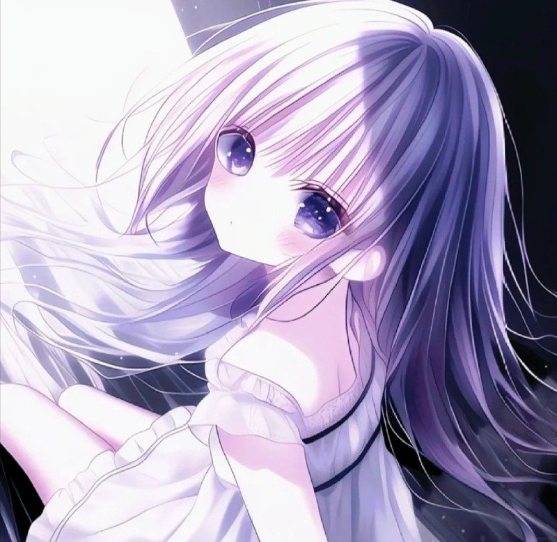 avatar màu tím cute 9