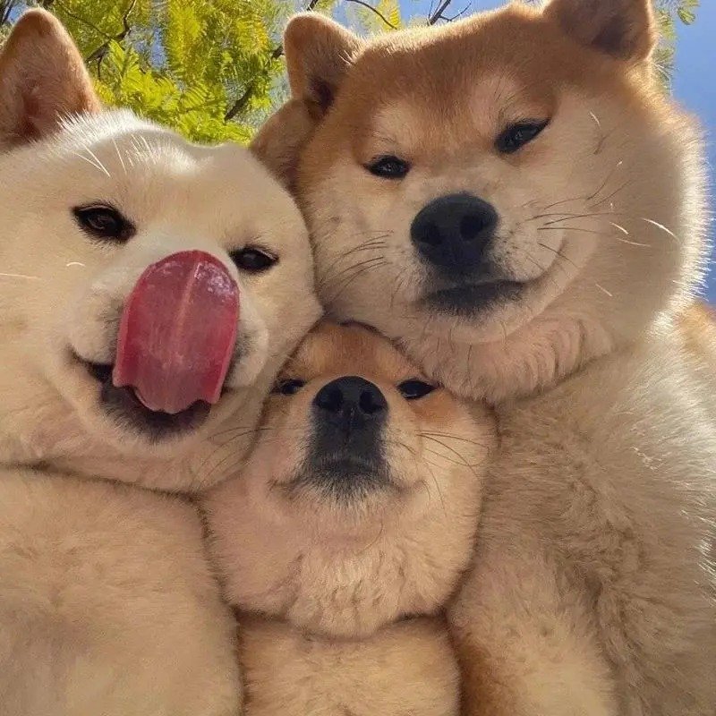 avatar nhóm 3 người cute 1
