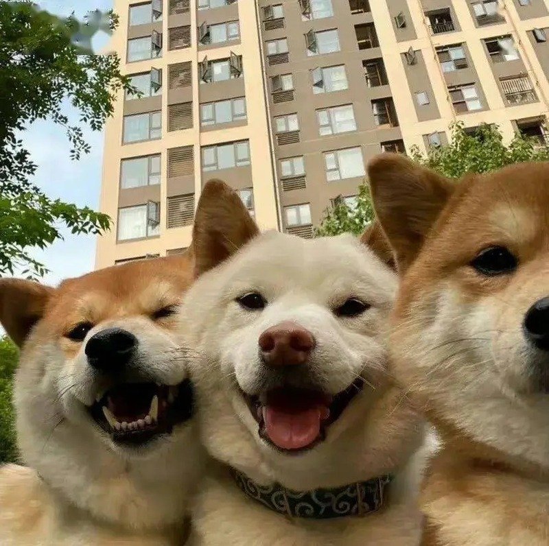 avatar nhóm 3 người cute 23