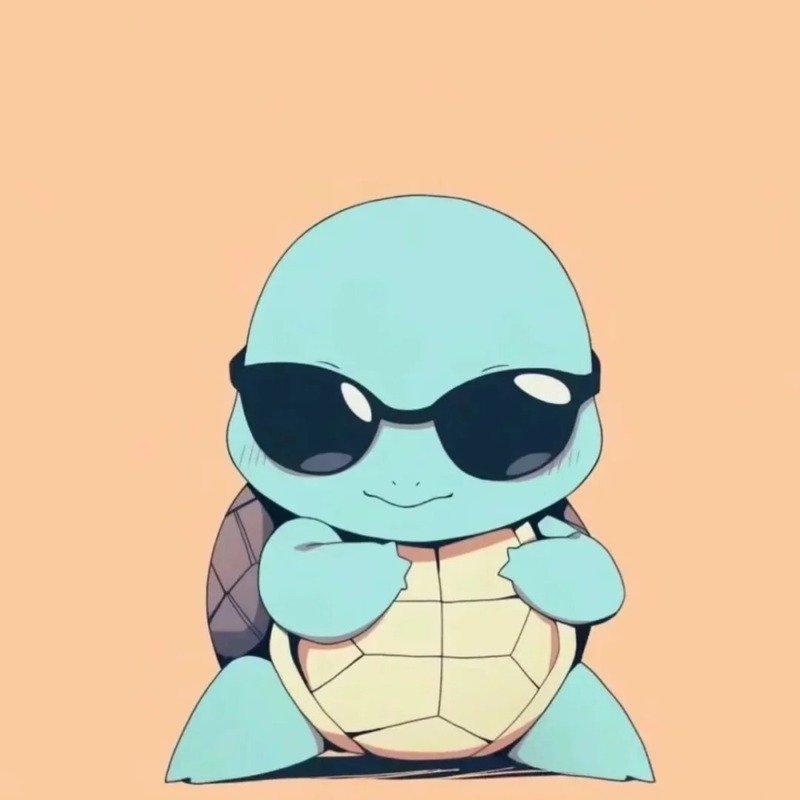 avatar rùa cute 16