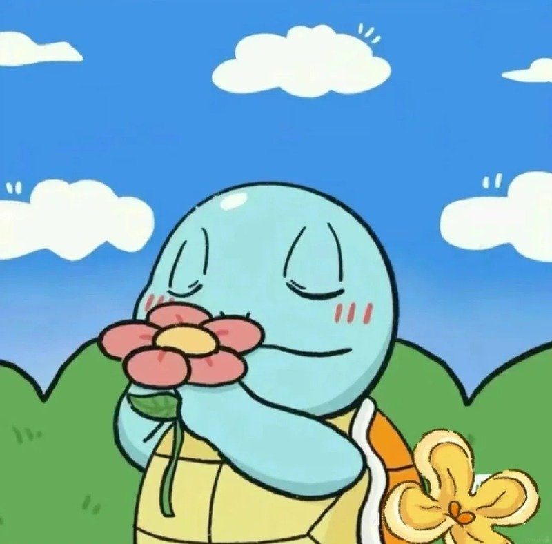avatar rùa cute 19