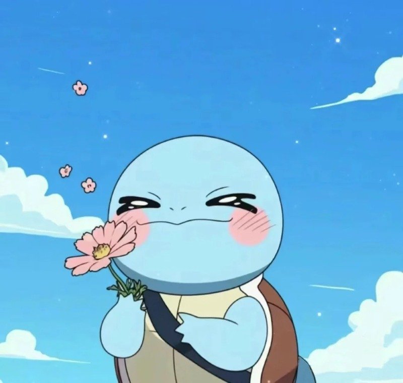 avatar rùa cute 21